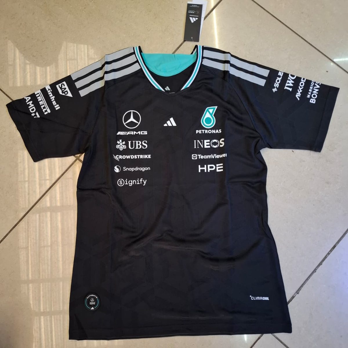 Back view